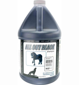 All Out Black Shampoo 50:1