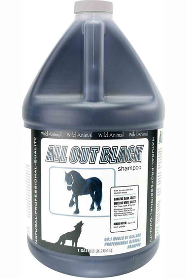 All Out Black Shampoo 50:1