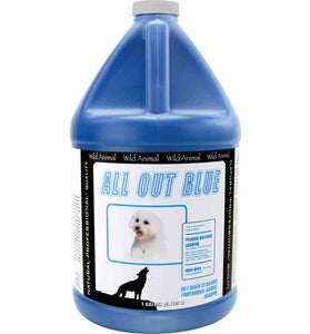 All Out Blue Shampoo 50:1