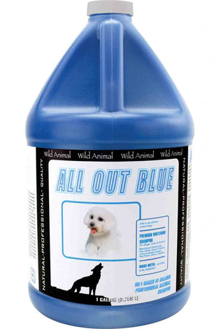 All Out Blue Shampoo 50:1