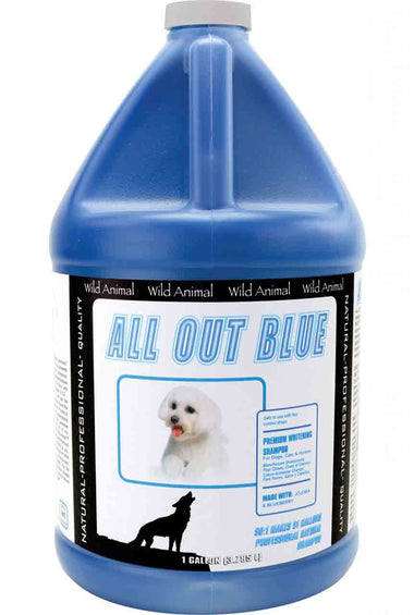 All Out Blue Shampoo 50:1