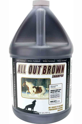 All Out Brown Shampoo 50:1