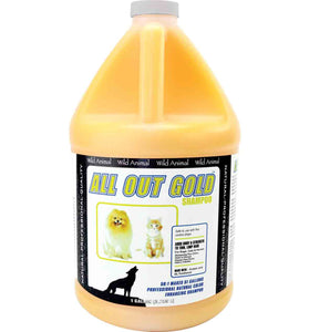 All Out Gold Shampoo 50:1