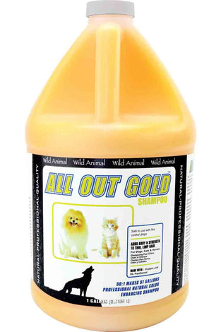All Out Gold Shampoo 50:1