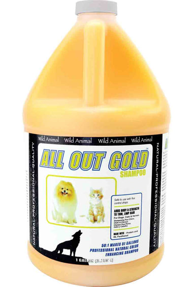 All Out Gold Shampoo 50:1