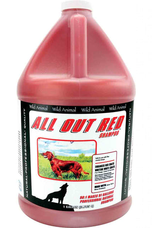 All Out Red Shampoo 50:1