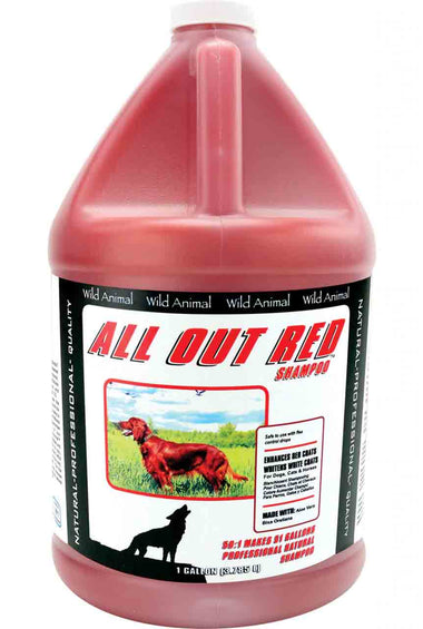 All Out Red Shampoo 50:1
