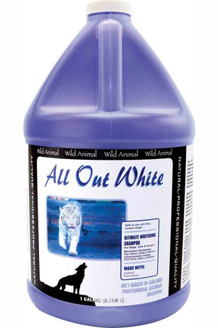 All Out White Shampoo 50:1