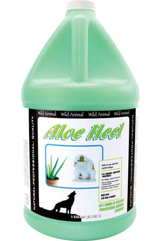 Aloe Heel Shampoo 50:1