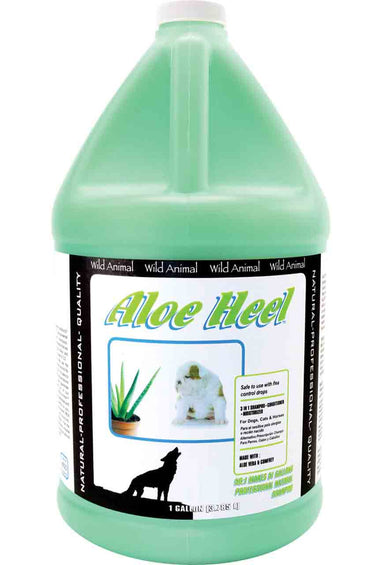Aloe Heel Shampoo 50:1