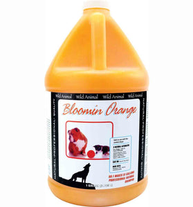 Bloomin Orange Shampoo 50:1