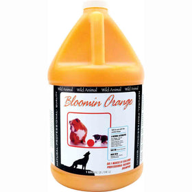 Bloomin Orange Shampoo 50:1