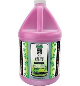 Nature's Choice Aloe Citru-Mela Shampoo 50:1