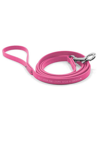 Jelly Pet Biothane Dog Leash 3/8'' x 6''