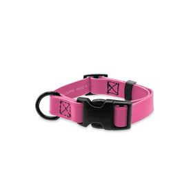 Jelly Pet Biothane Small Dog Collar 3/4 x 11''-16''